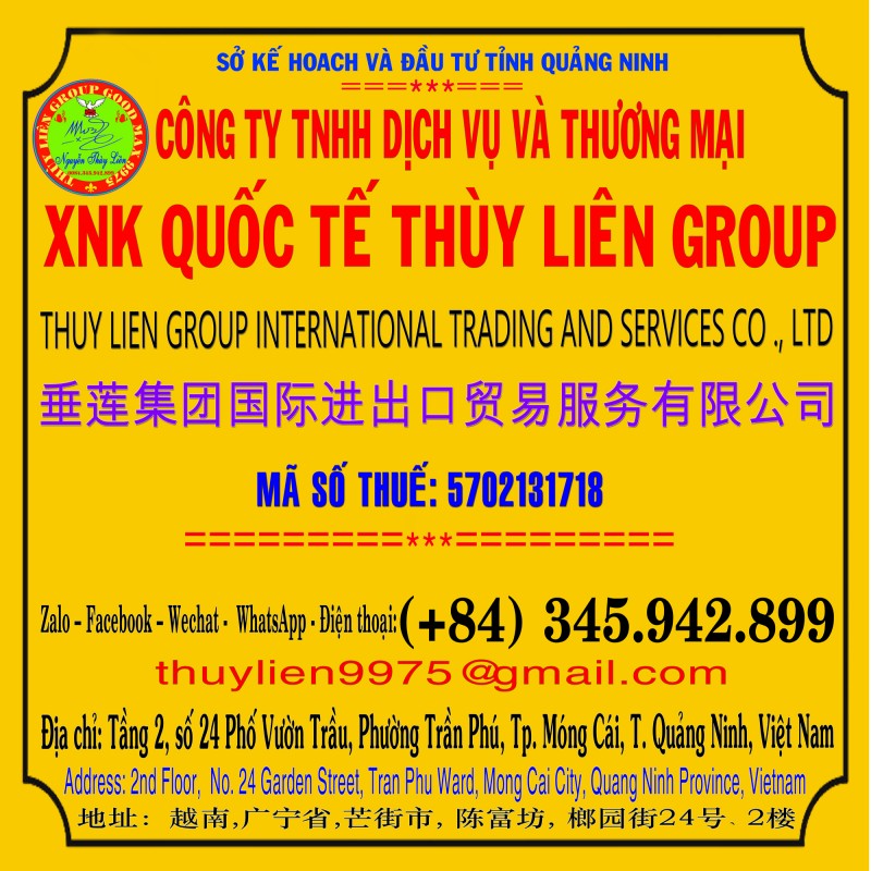 CÔNG TY TNHH DỊCH VỤ & THƯƠNG MẠI XNK QUỐC TẾ THÙY LIÊN GROUP